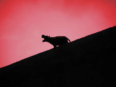 Hippopotamus silhouette in pink sky background amazing side black postureの写真素材