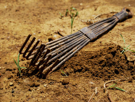 Agriculture iron made tools isolate on soil fieldの写真素材