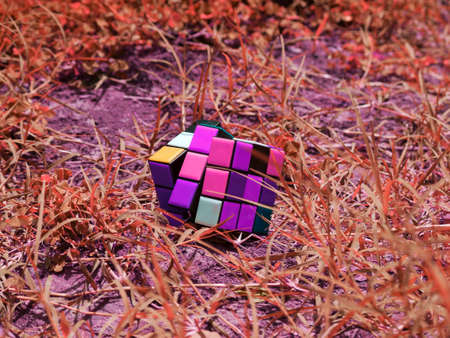 Color cube image around reddish grass field, kids toy isolated on ground