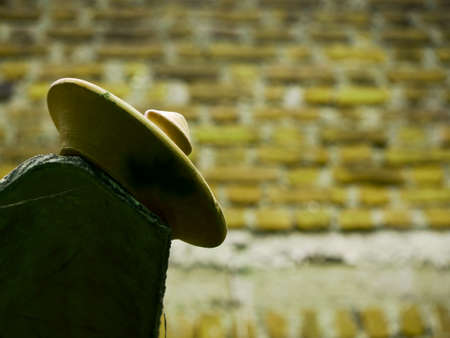 Designer soil pot presented on blur brick wall texture backgroundの写真素材