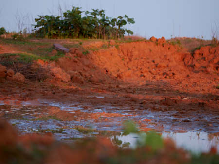 Water collected during rain around forest field with sky on frame nature shotの写真素材