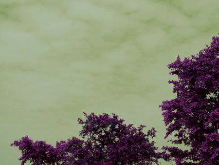 Violet color leaves down right corner with sky nature shotの写真素材