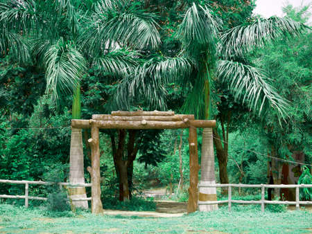 Wooden structure created on park entry with coconut tree around at natural environmentの写真素材