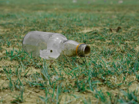 alcohol drink empty bottle lying on green grass field on forest nature