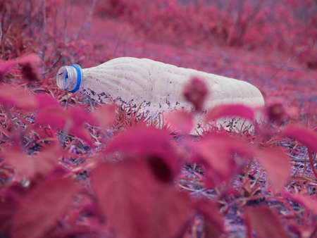 Old water bottle kept pink color natural grass field, beauty with garbage concept.の写真素材