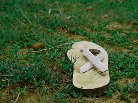 Used foot sleeper wastage material kept on green grass natural field, pollution on earth concept.の写真素材