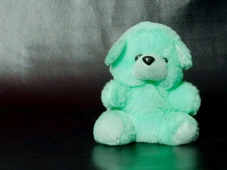 Puppy dog Animal soft toy displayed on shiny black background, kids playing object imageの写真素材