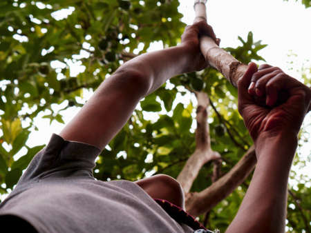 Asian boy plunging guava fruit from wooden bamboo pole low angle shot.