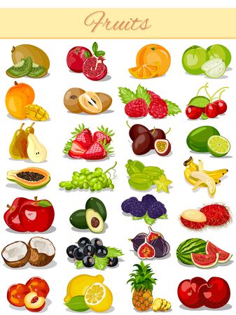 vector illustration of Fruit Product Food Collectionのイラスト素材