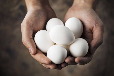 Hands holding fresh hen eggsの写真素材