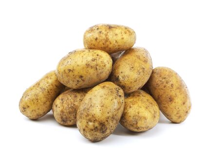 A Heap of harvested dirty potatoes on whiteの写真素材