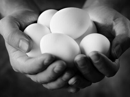 Black and white image of hands holding fresh white eggs