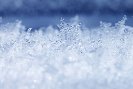 Frost crystals in closeup.