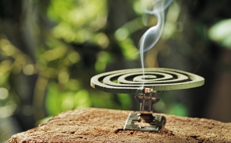 Green spiral insect repellent mosquito coil incense smoking.の写真素材