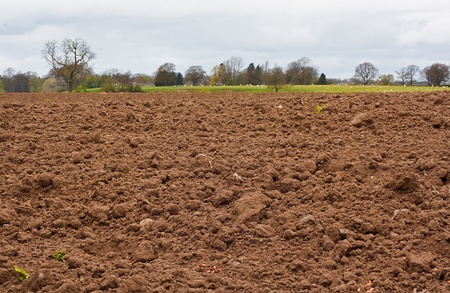 A freshly dug and recently seeded agricultural field, good background for farmingの写真素材