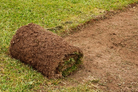 Freshly cut turf roll laid to create the perfect lawnの写真素材