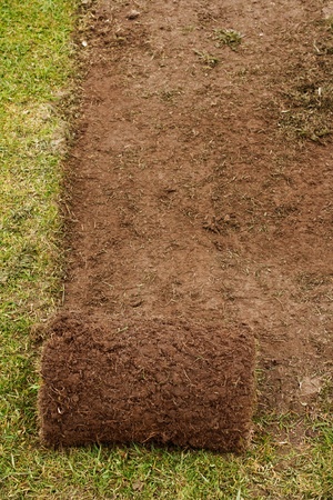 A roll of turf used to make the perfect lawnの写真素材