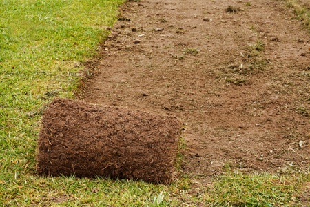 A roll of freshly cut turf used to make the perfect lawnの写真素材