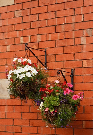 Hanging baskets overflow with flowers bracketed on a traditional red brick wallの写真素材