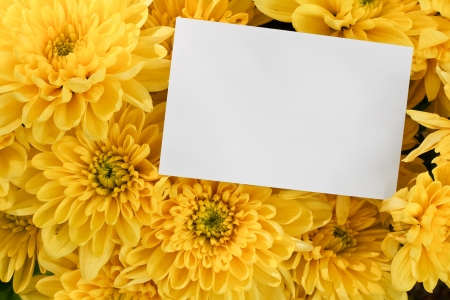 Chrysanthemum Floral bouquet background with blank greeting card to insert your marketing message or florists brandingの写真素材