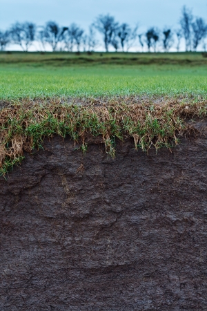 cross section of a grass field with exposed soil following erosion or landslideの写真素材