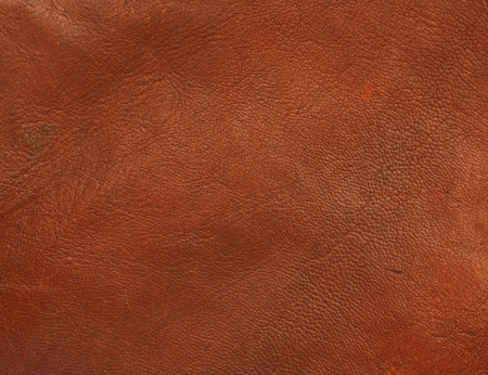 genuine leather shiny and polished textured background an authentic material made from animal skin and used in quality durable clothingの写真素材