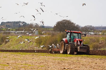 farming scene of a farmer ploughing a field ready for new crops in spring with sea birds feeding on the exposed wormsの写真素材