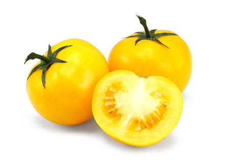 homegrown Yellow tomato harvest from a greenhouse, vegetable produce grown by gardenersの写真素材