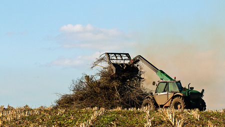 Famer burning crop residue on bonfire to dispose of waste plant material and help kill insects.の写真素材