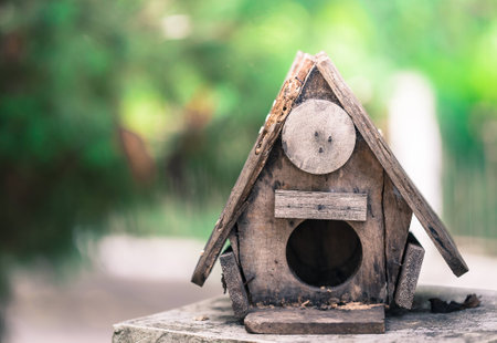 Old bird house