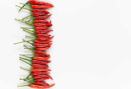 Fresh chilliの写真素材