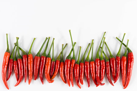 Fresh chilliの写真素材