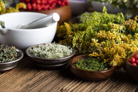Dry colorful spices in bowlsの写真素材
