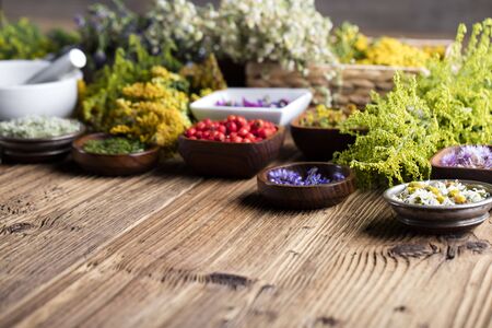 Natural medicine concept - set of herbs and edible fruits on wooden tableの写真素材