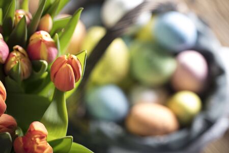 Easter theme. Bouquet of tulips. Easter eggs. Colorful bokehの写真素材