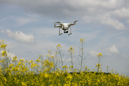 Dron in action. Rape field scenery. Summer time. Backgrounds concept.の写真素材