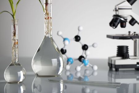 Plants in laboratory. Biotechnolgy concept.の写真素材