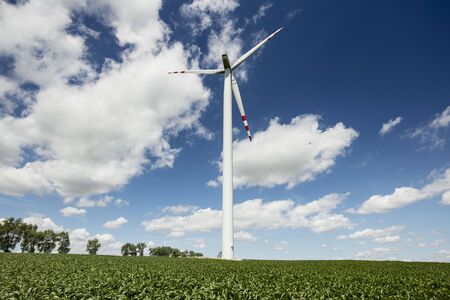 Renewable energy. Farm of wind turbines on the corn field.