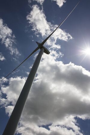 Renewable energy. Farm of wind turbines on the corn field.