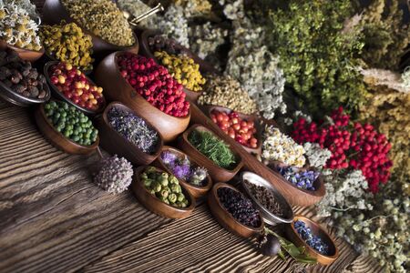 Natural remedy, healing herbs backgroundの写真素材