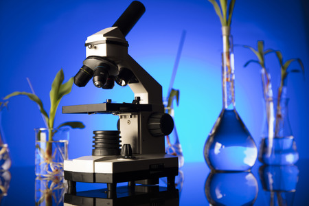 Biotechnology and floral science theme. Experimenting with flora in laboratory. Blue background.の写真素材