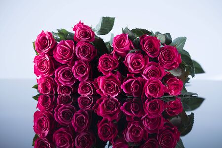 Bouquet of red roses on white background.の写真素材