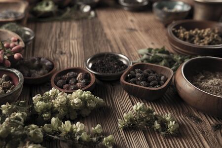 Spices theme. Collection of spices in bowls on wooden rustic table. Place for text or typography.の写真素材