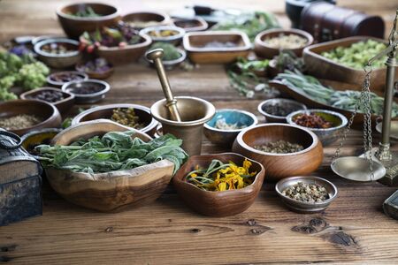 Spices theme. Collection of spices in bowls on wooden rustic table. Place for text or typography.の写真素材