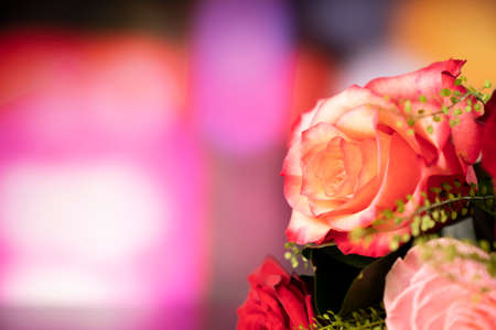 Motherâs day gift.  Bunch of roses on the bokeh background.の写真素材