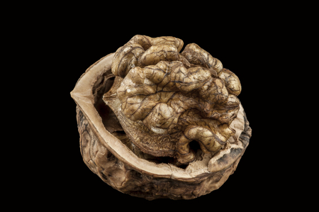 closeup walnut on black backgroundのeditorial素材