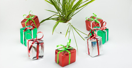 Christmas gift boxes and tree in pot isolated on white background, New year gift set.の写真素材