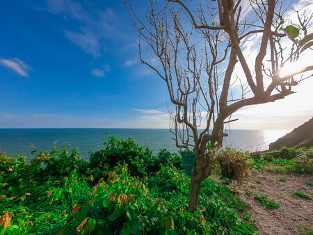 wonderful landscape Idyllic Scene Beach and rock on sky backgroundの写真素材