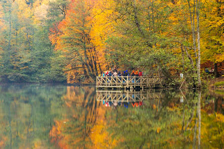 Autumn colors. Colorful fallen leaves in the lake. Magnificent landscape. Natonial Park. Seven Lakes. Bolu, Istanbul, Turkey.の写真素材