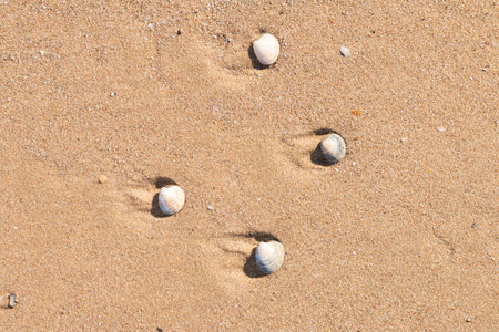 Many kind of the beach in Istanbul, Sile province.